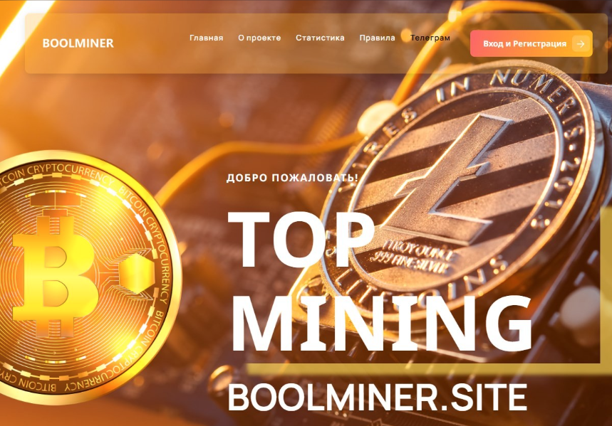 Boolminer